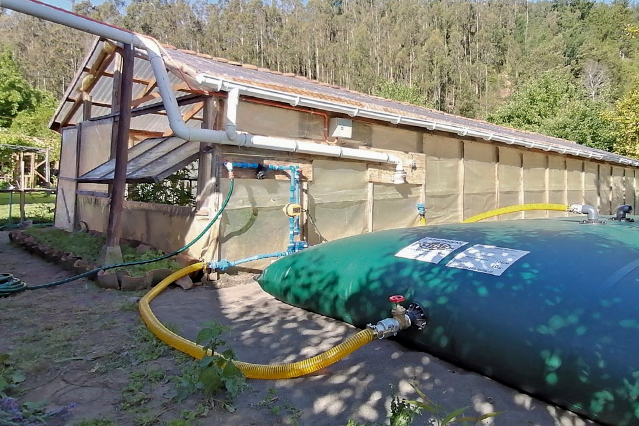 Cosecha de aguas lluvia: una fuente alternativa ante la crisis hídrica en Chile