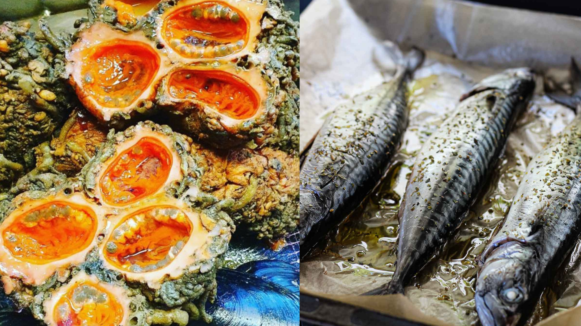 Piure y caballa lideran la lista de productos marinos con mayor aporte de Omega-3