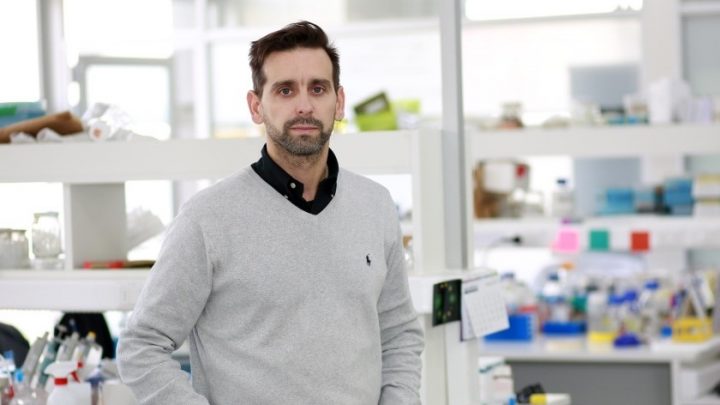 Felipe Court: El especialista en envejecimiento que llegará a Puerto de Ideas Antofagasta 2025