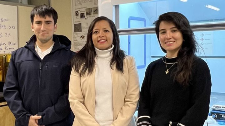 Innovadora tecnología chilena fabrica pellets cerámico-poliméricos para imprimir en 3D