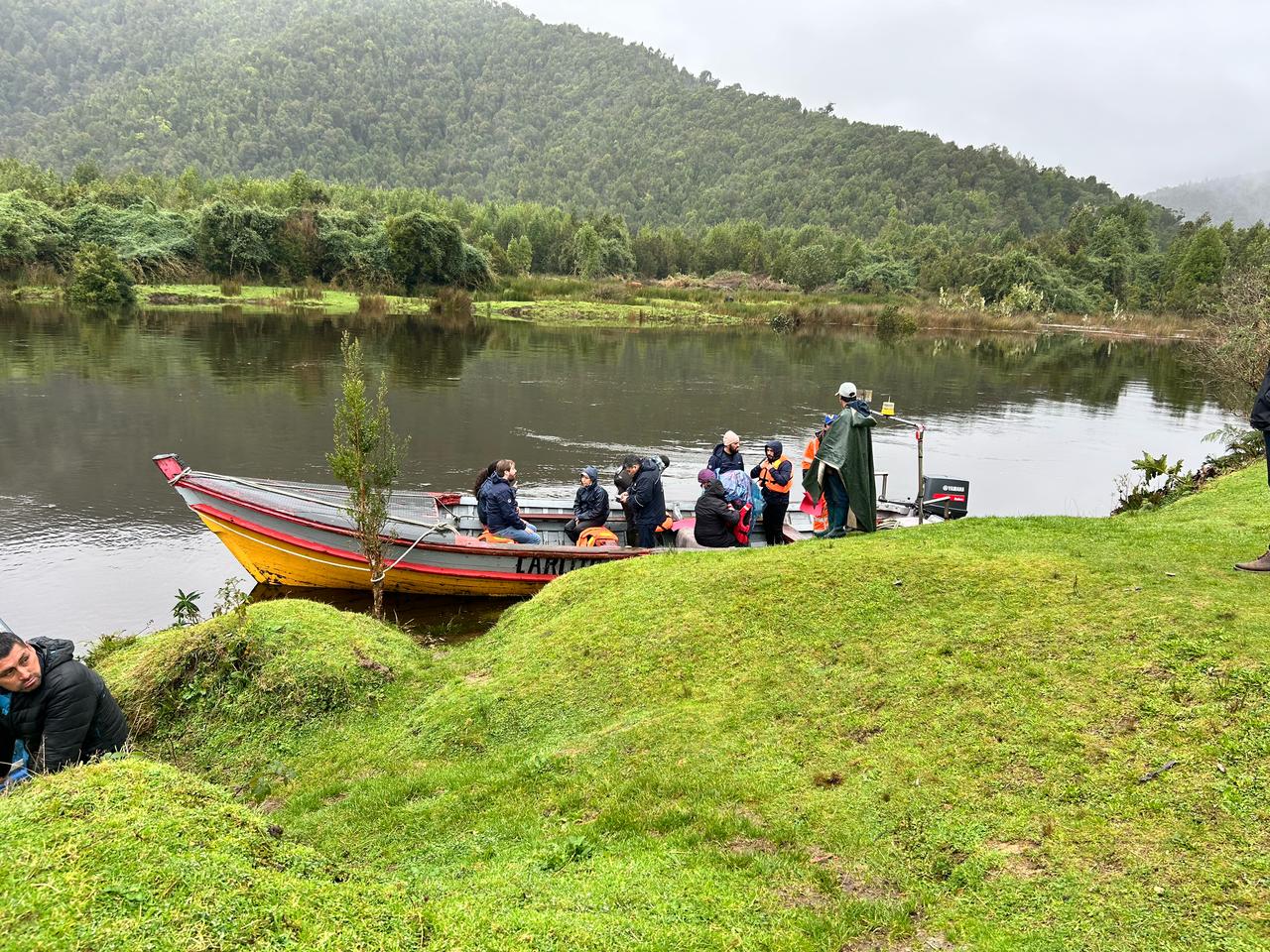 Proyecto busca proteger el choro zapato y restaurar la biodiversidad en Los Lagos