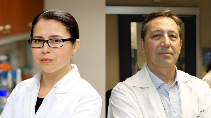 Científicos chilenos destacan en ranking internacional de inmunología