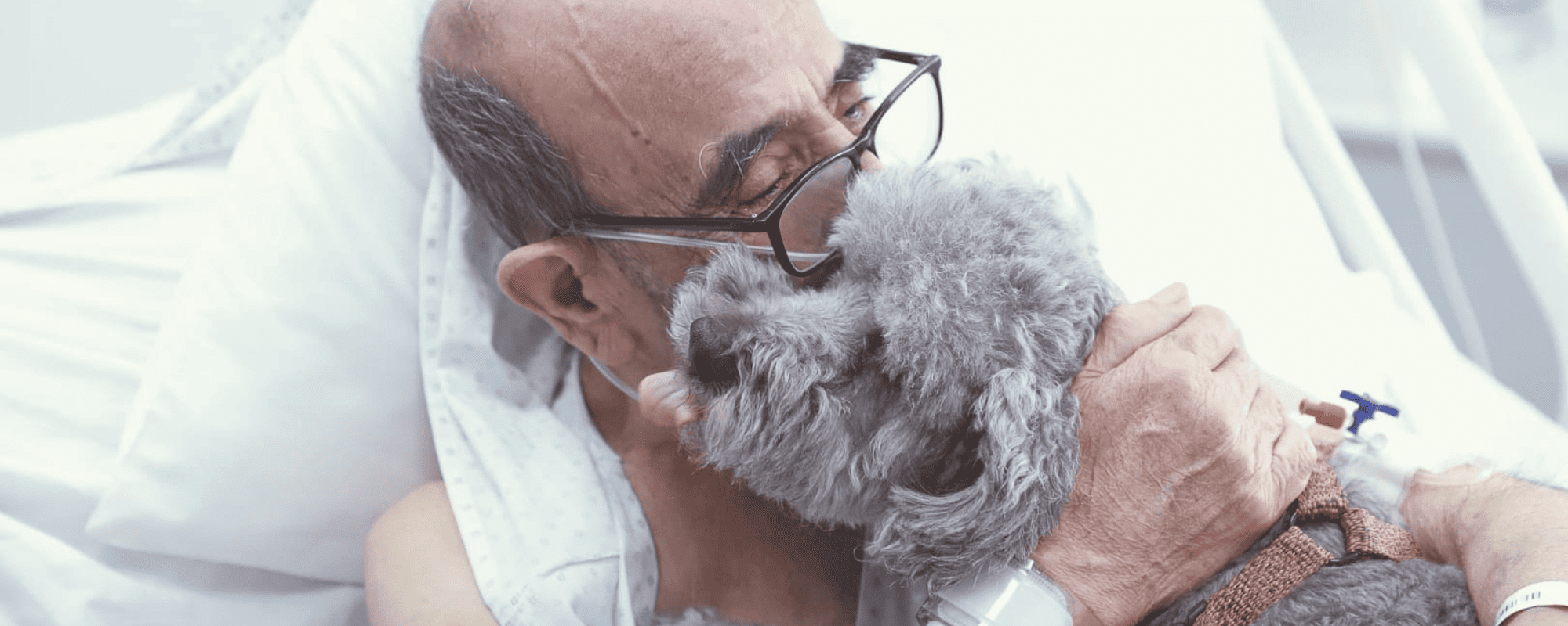 Hospital Clínico U. de Chile permite visitas de mascotas a pacientes críticos