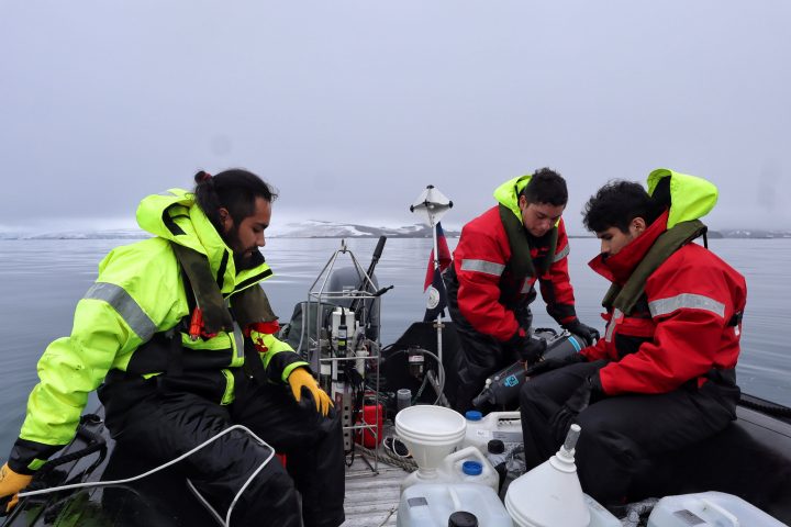 Descubren más de 2.400 nuevos virus con un rol clave en la cadena trófica antártica