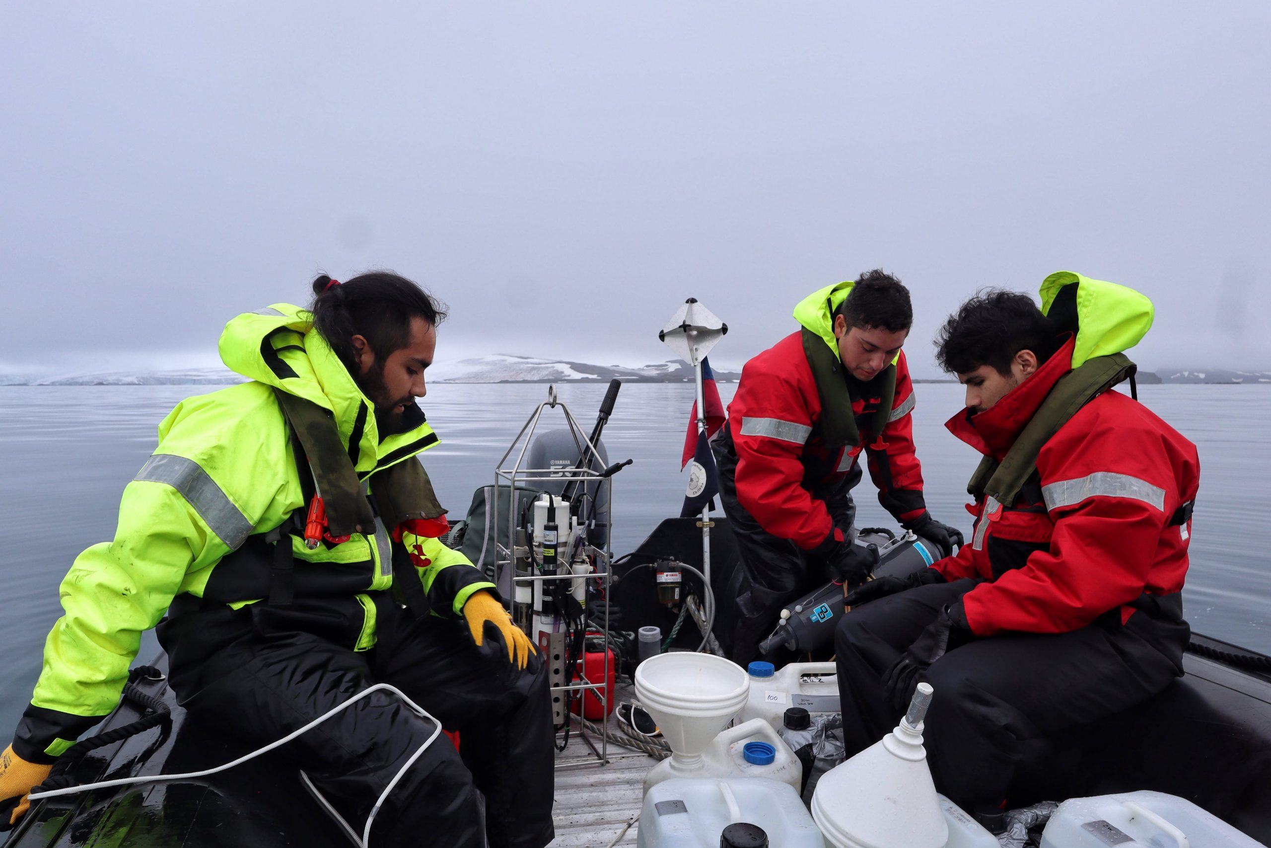 Descubren más de 2.400 nuevos virus con un rol clave en la cadena trófica antártica