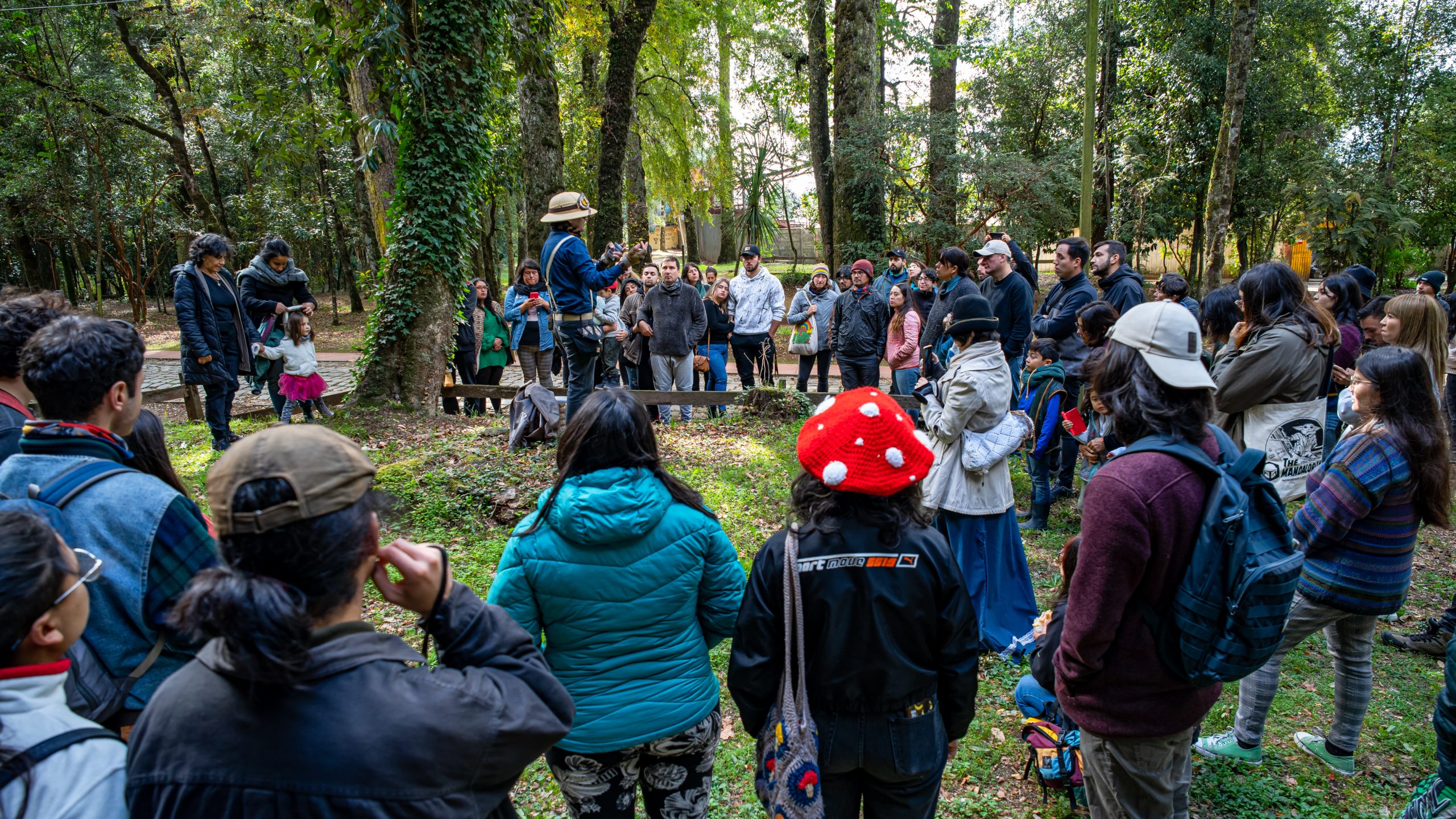 FungiFest Valdivia celebrará 10 años de historia con más de 70 actividades
