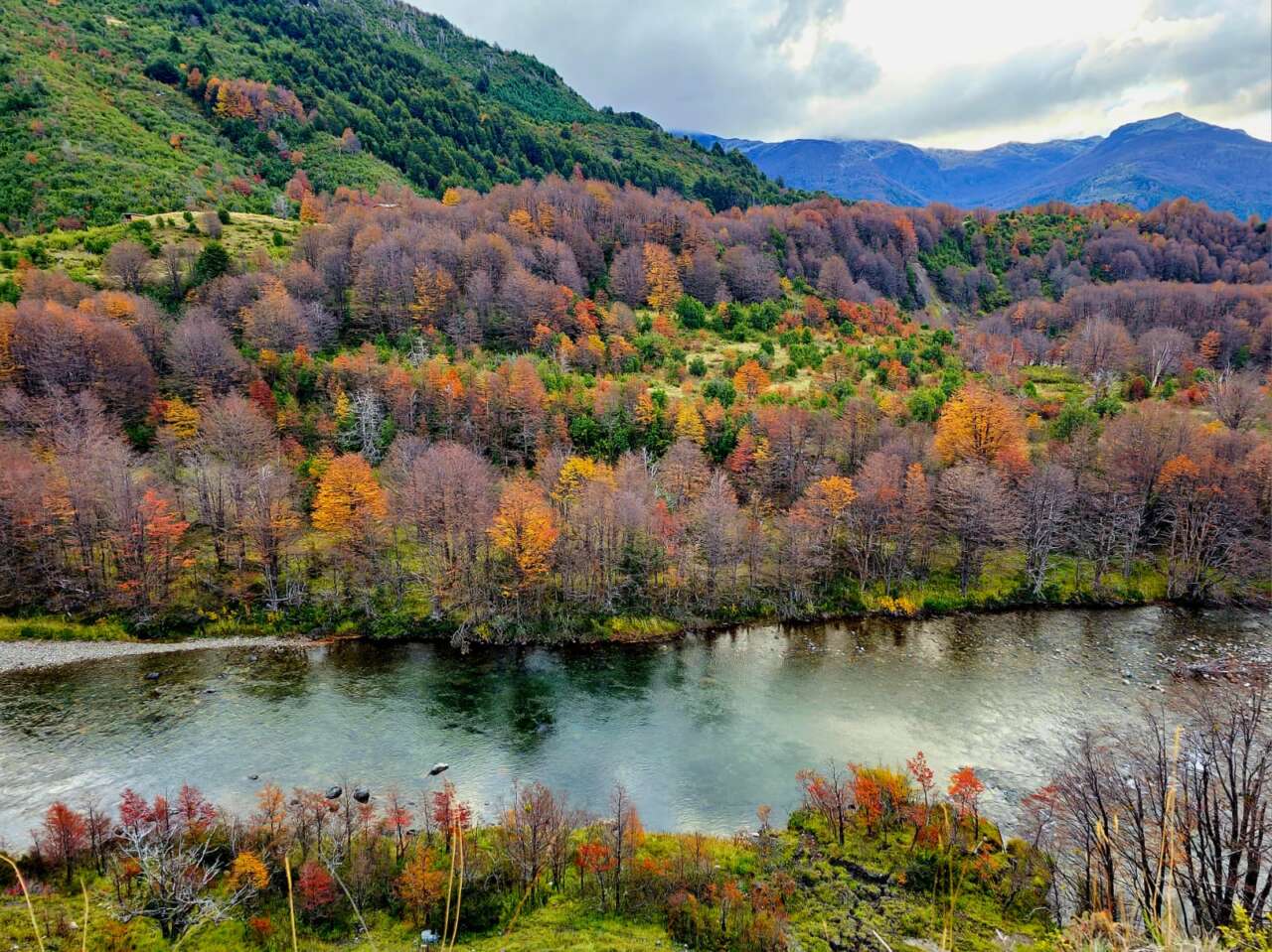 Documental narra el esfuerzo local por conservar la riqueza natural en la Patagonia chilena