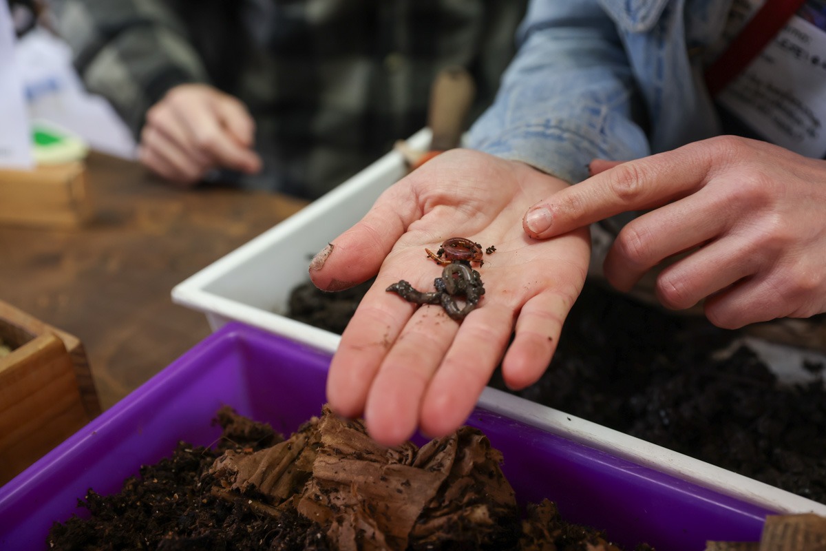 Ecología, ciencia y sostenibilidad se instalaron en 