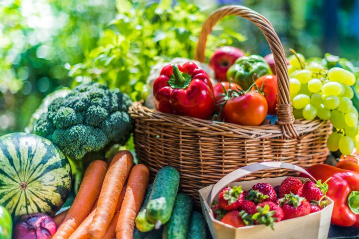 Libro entrega claves de alimentación para prevenir el cáncer, Alzheimer e infecciones