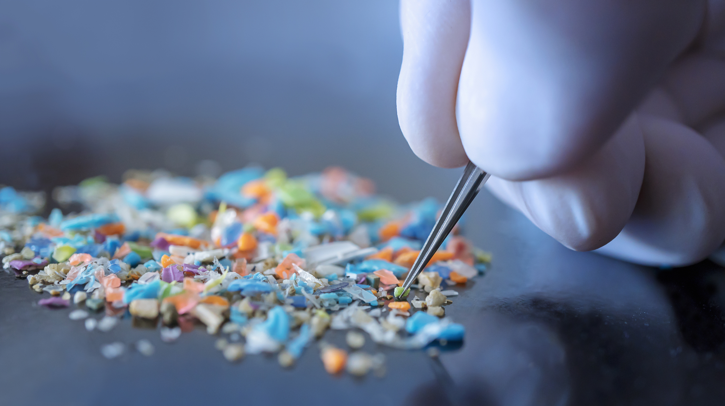 Estudio demuestra que microplásticos inhalados alteran el sistema inmunitario pulmonar