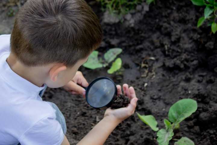 Conoce las actividades para niñas y niños en el Día de los Patrimonios 2025