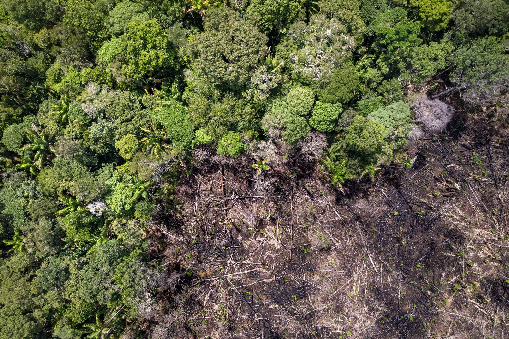 Chile vuelve a ser el primer país latinoamericano en superar los límites ecológicos del planeta