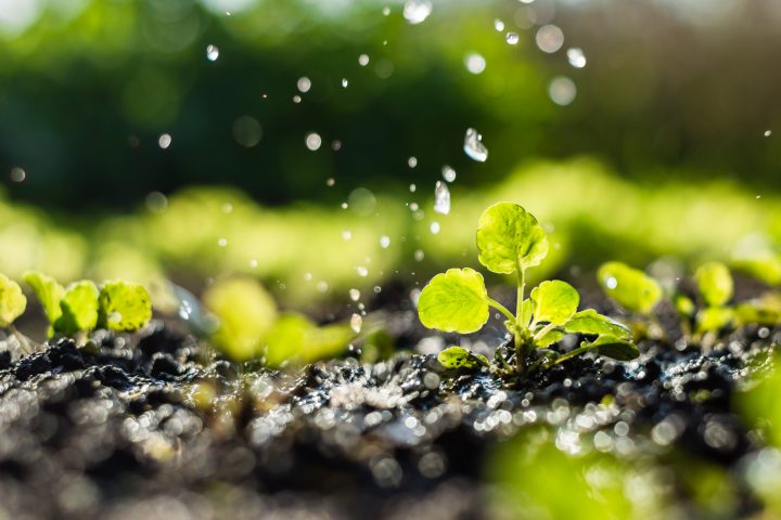 Estudio destaca el potencial de aguas lluvias como solución de bajo costo para la sequía