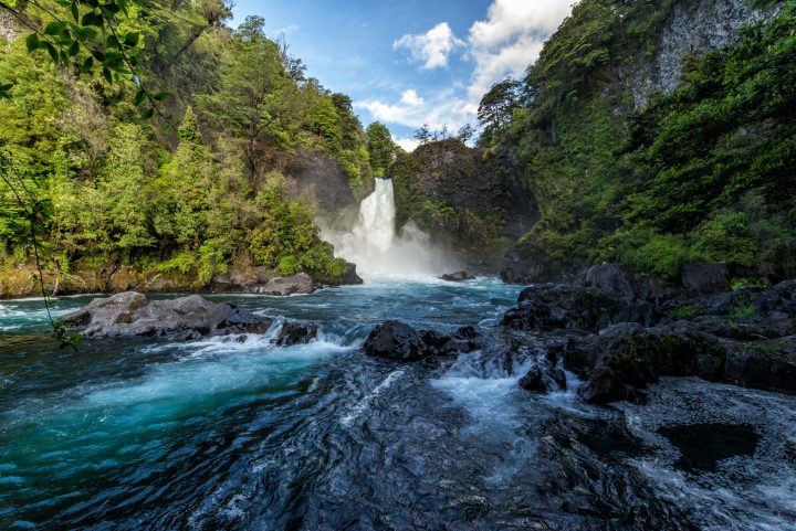 Maestra Naturaleza: La feria ciudadana gratuita que conectará ecología y futuro ambiental