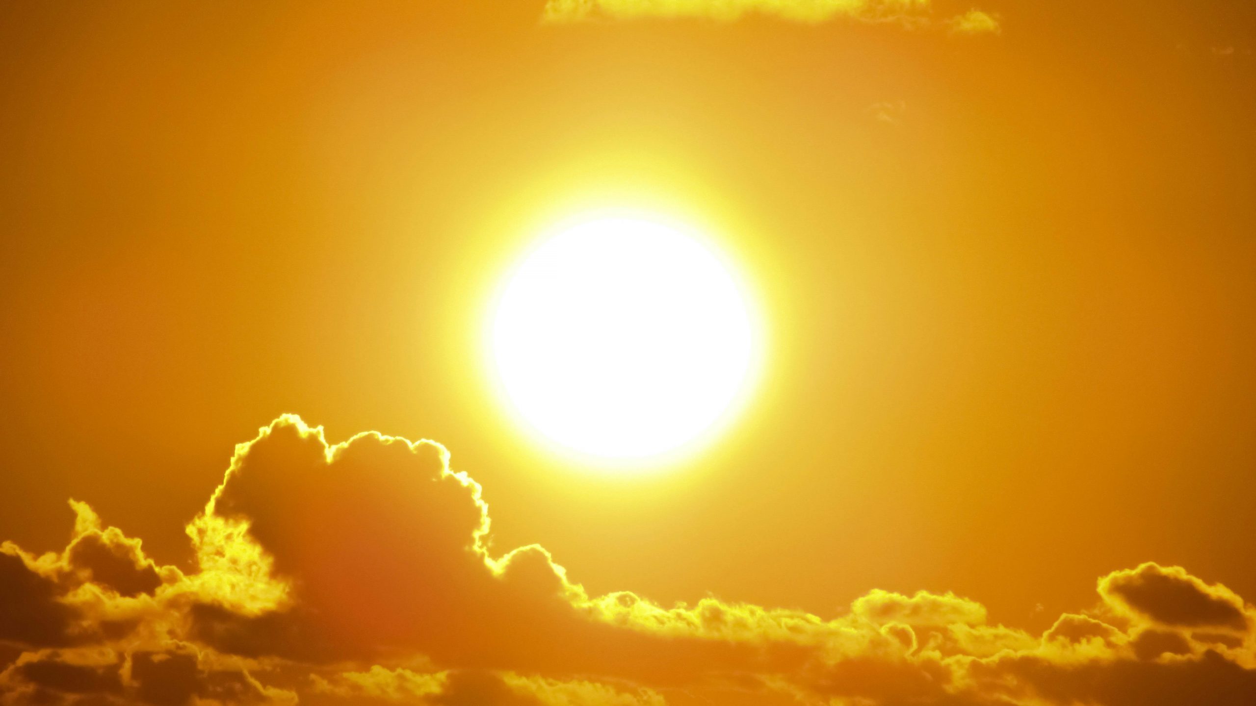 Muertes por calor extremo en Chile aumentaron un 6,9% en la última década