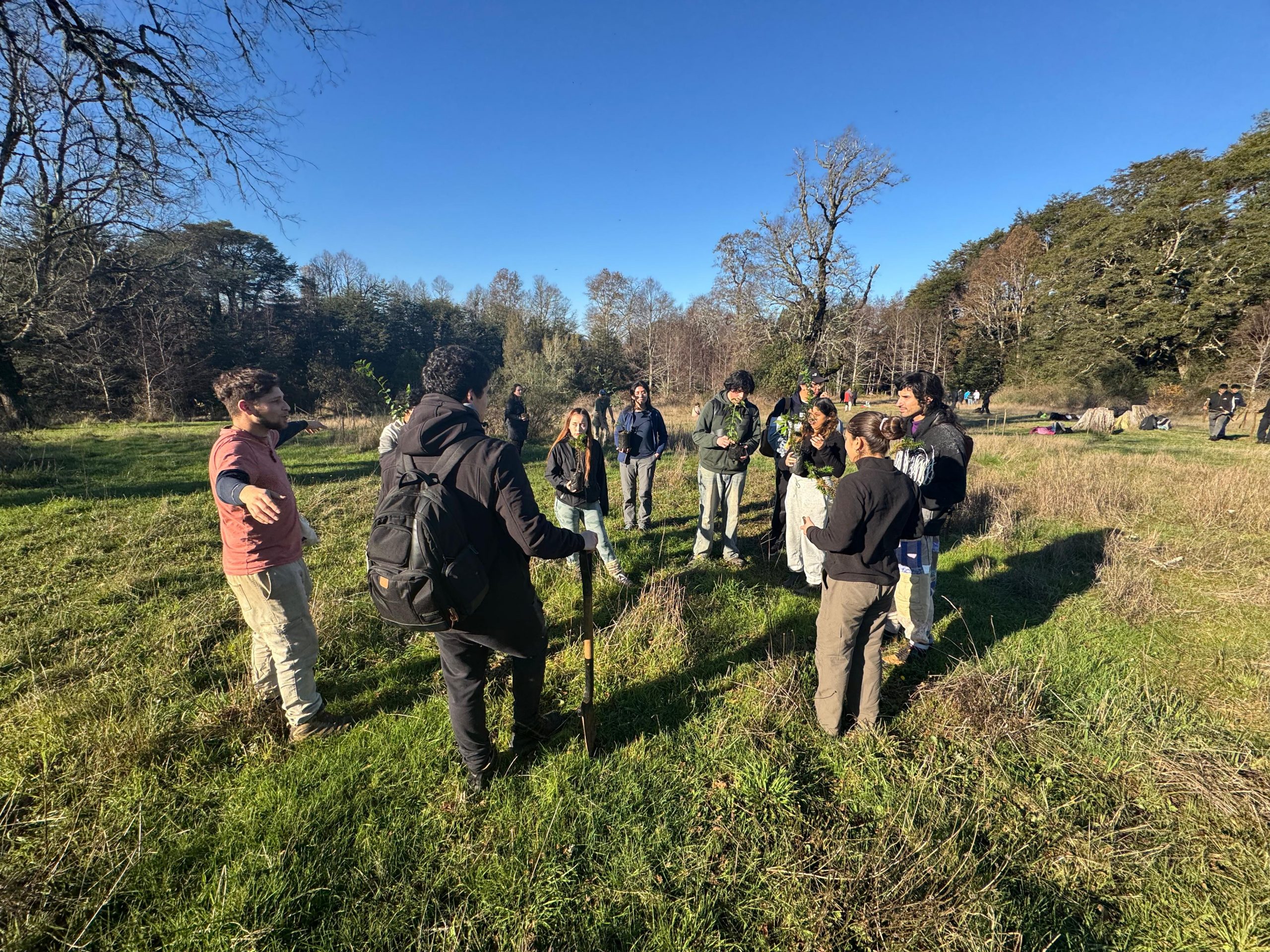 Bosque comestible en Valdivia: El proyecto que incluirá más de 100 plantas nativas