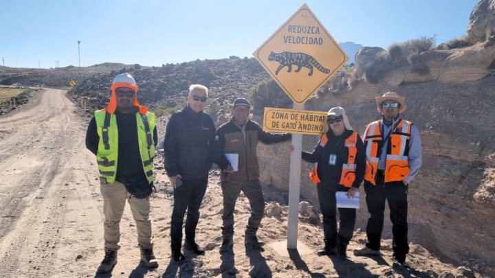 Atropello de fauna en Arica: Instalan inédita señalética para proteger a especies nativas