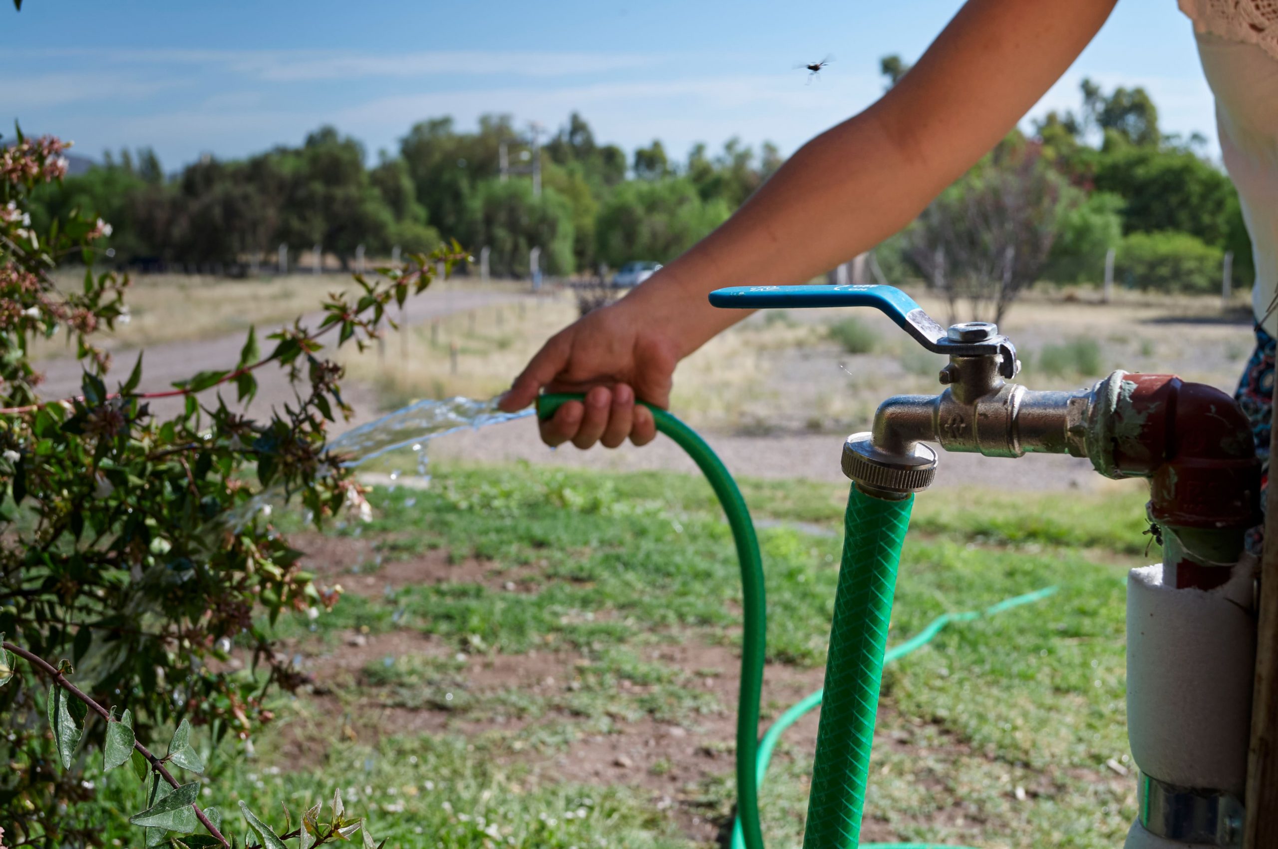 Científicos crean innovador sistema de desalinización que produce agua potable con neblina