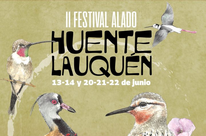 Huentelauquén se prepara para el Festival Alado: Una celebración de las aves de Coquimbo
