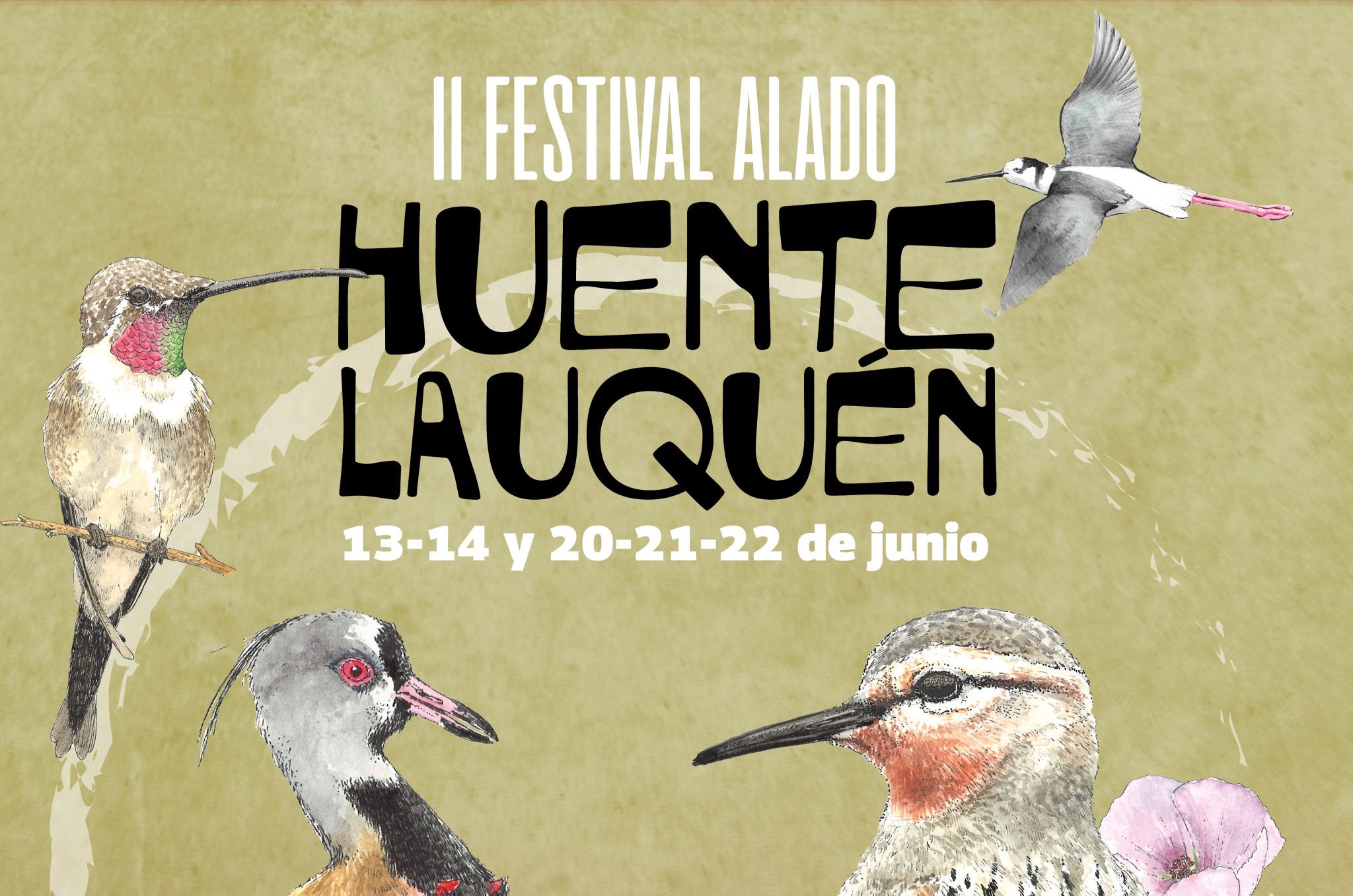Huentelauquén se prepara para el Festival Alado: Una celebración de las aves de Coquimbo