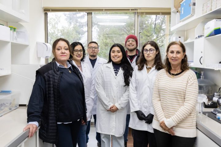 Científicas desarrollan material para purificar aguas contaminadas a partir de neumáticos usados