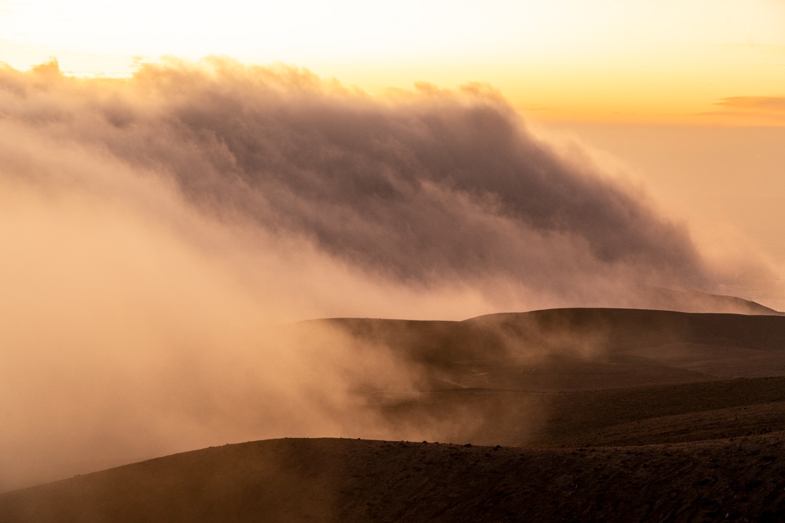 Primer Mapa de Agua de Niebla en Chile revela el potencial de la camanchaca contra la sequía