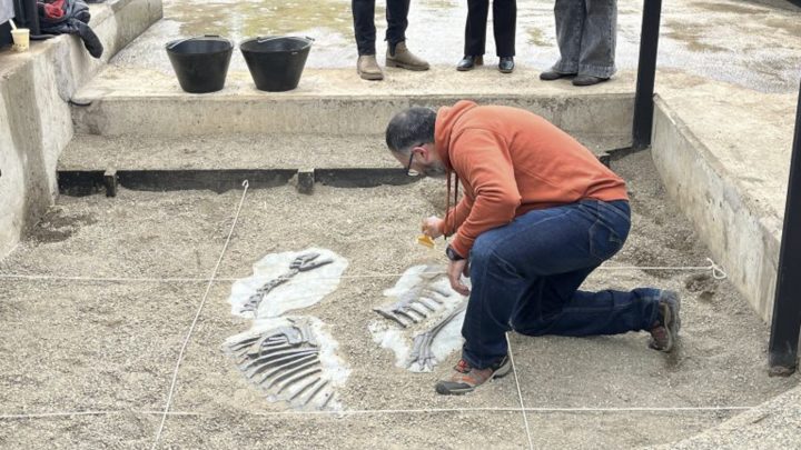 MinCiencia abre concurso público para proyectos que comuniquen ciencias y conocimientos