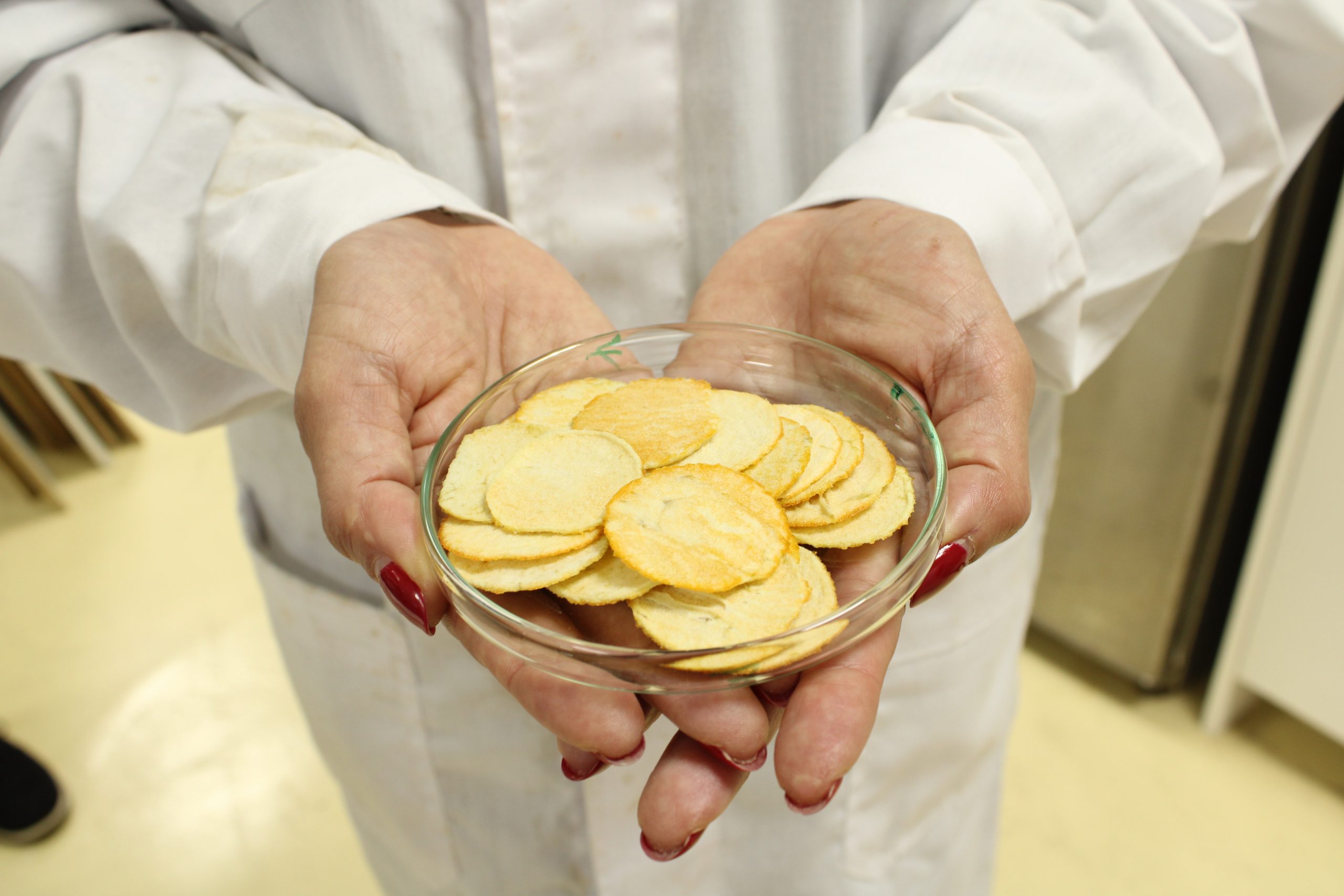 Snack chileno busca reducir el riesgo de enfermedades oculares y articulares en personas mayores