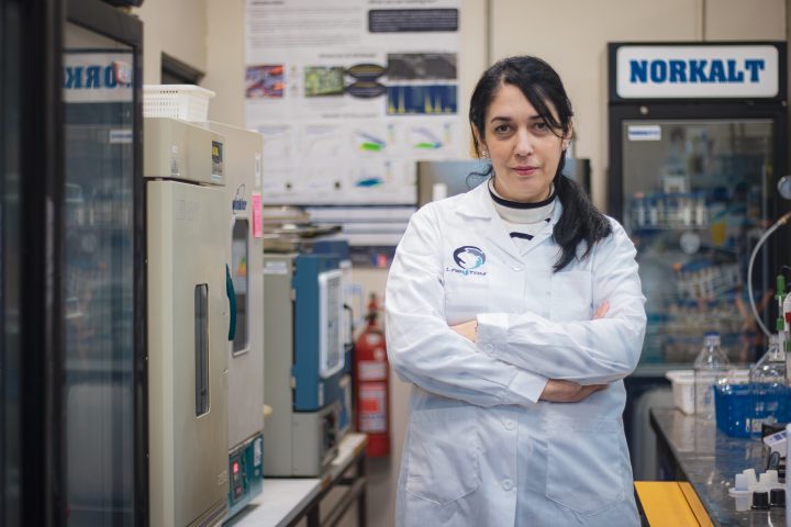 Académica busca producir hidrógeno verde usando purín de cerdo y cochayuyo