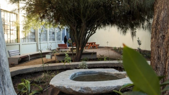 Instituto Psiquiátrico Horwitz inaugura jardín terapéutico para el bienestar emocional