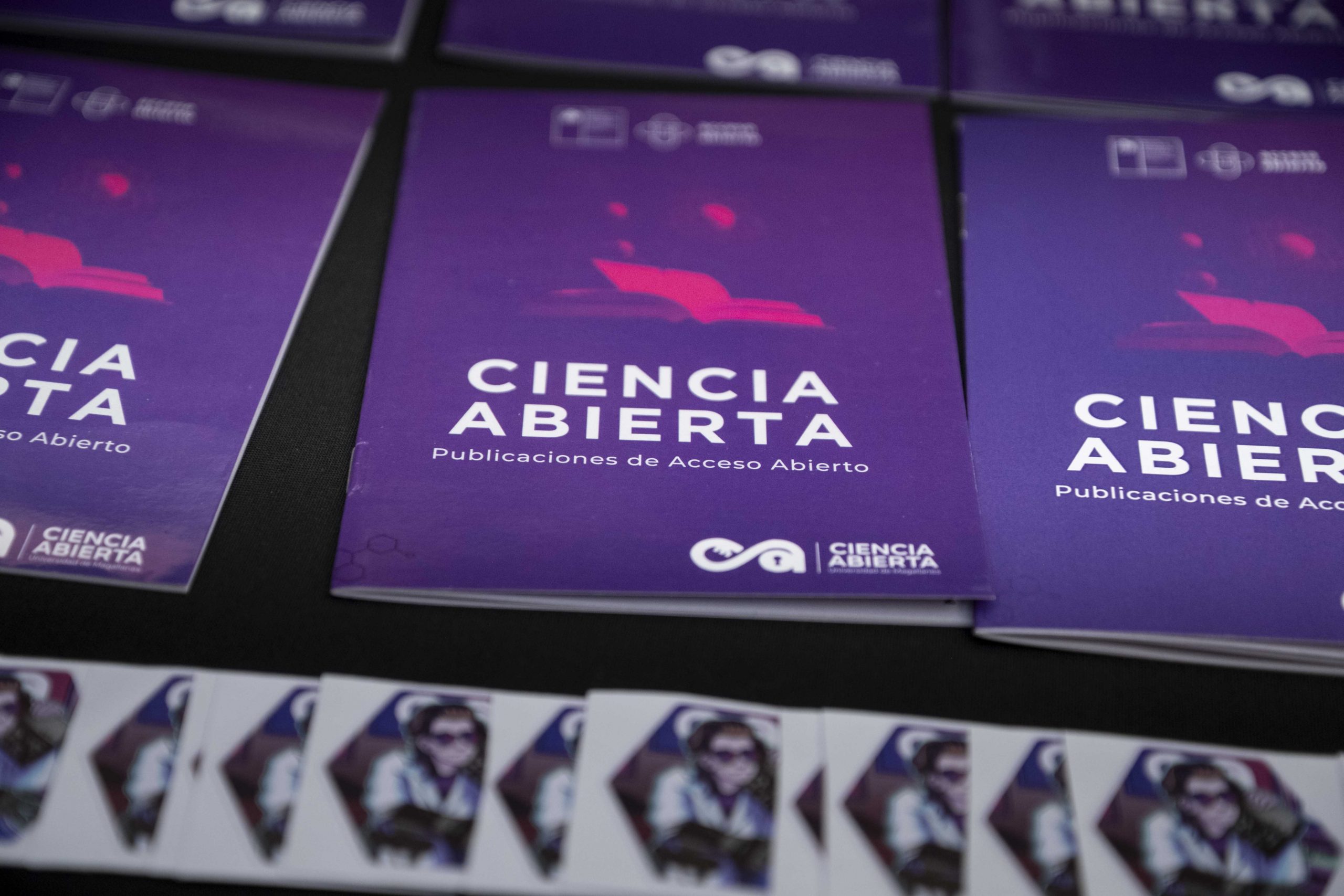 ARCA: La nueva plataforma que busca democratizar el conocimiento científico de Magallanes