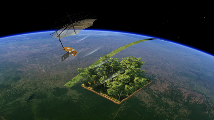 Satélite de la ESA revela las primeras imágenes del CO2 en los bosques del mundo