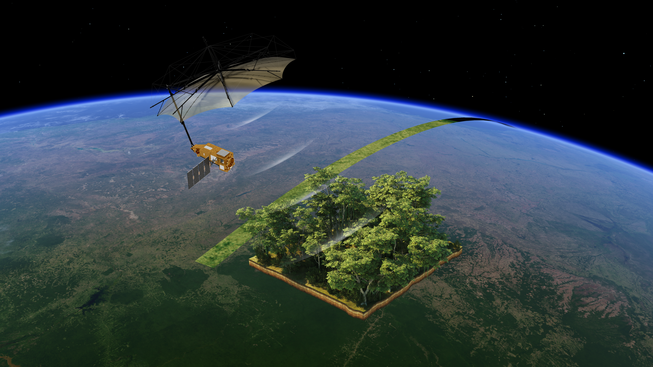 Satélite de la ESA revela las primeras imágenes del CO2 en los bosques del mundo
