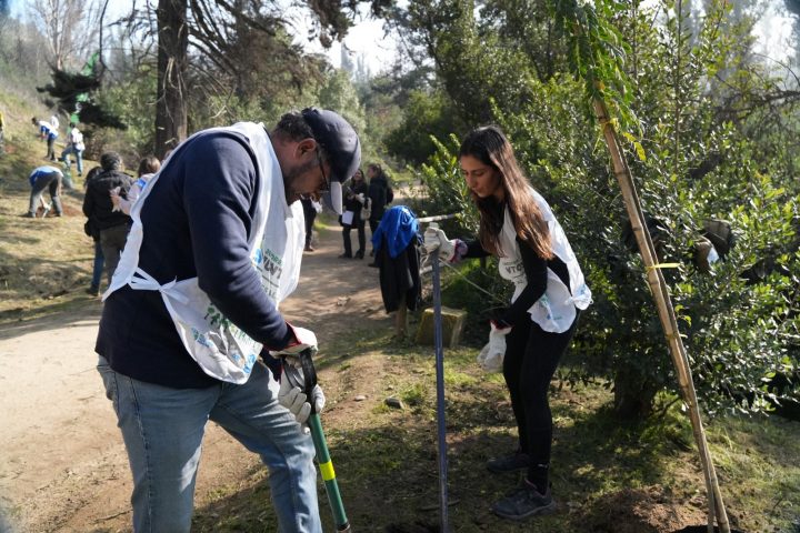 60 mil árboles nativos han sido plantados en el país gracias a inédita alianza
