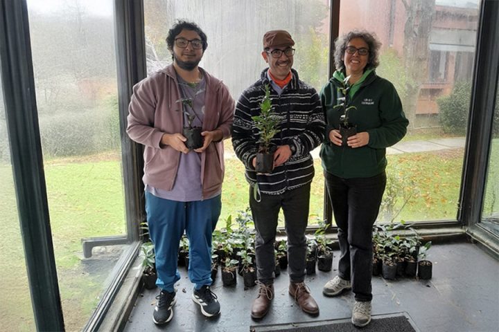 Estudiante crea plataforma digital que busca revolucionar la reforestación en Chile
