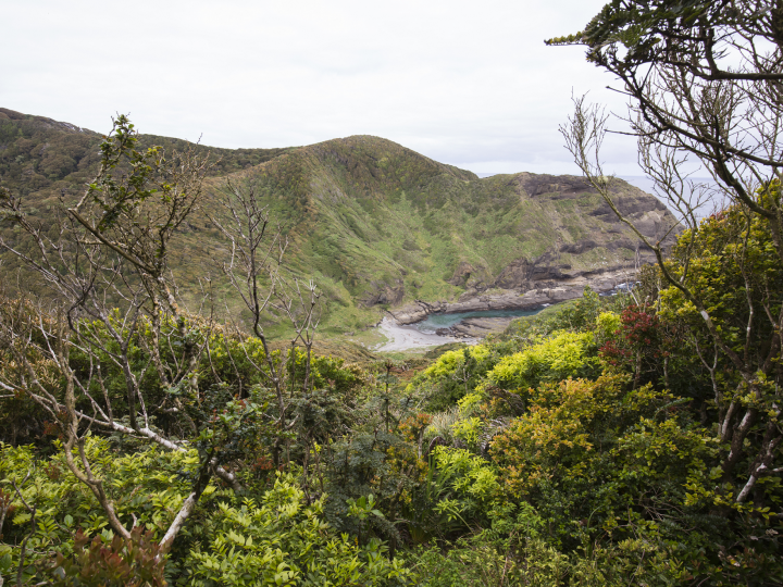 ONG ligada a Leonardo DiCaprio donará la Isla Guafo a Chile para convertirla en Parque Nacional