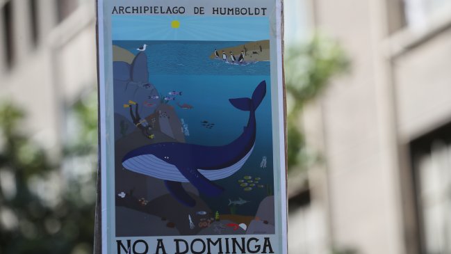 Organizaciones ambientales acusan que fallo del TC sobre Dominga 