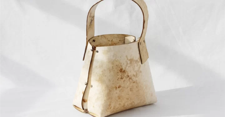 Cuero de hongo: La revolucionaria apuesta de moda sostenible que ya se trabaja en Chile
