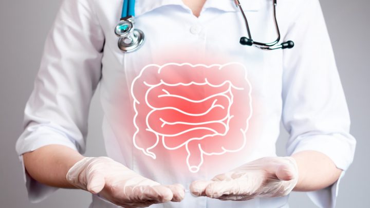Innovación chilena protege los probióticos para combatir la colitis y la enfermedad de Crohn