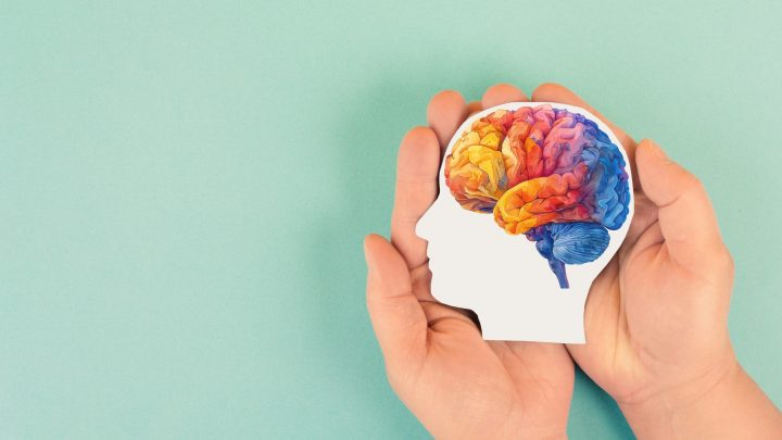 Estudio revela el secreto de la agilidad mental: no es la cantidad de neuronas, sino su organizaci贸n