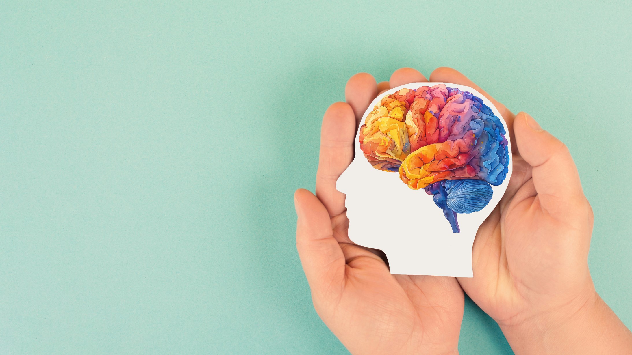 Estudio revela el secreto de la agilidad mental: no es la cantidad de neuronas, sino su organización