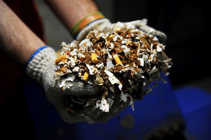 Científicos desarrollan método para biodegradar toneladas de cigarros ilegales