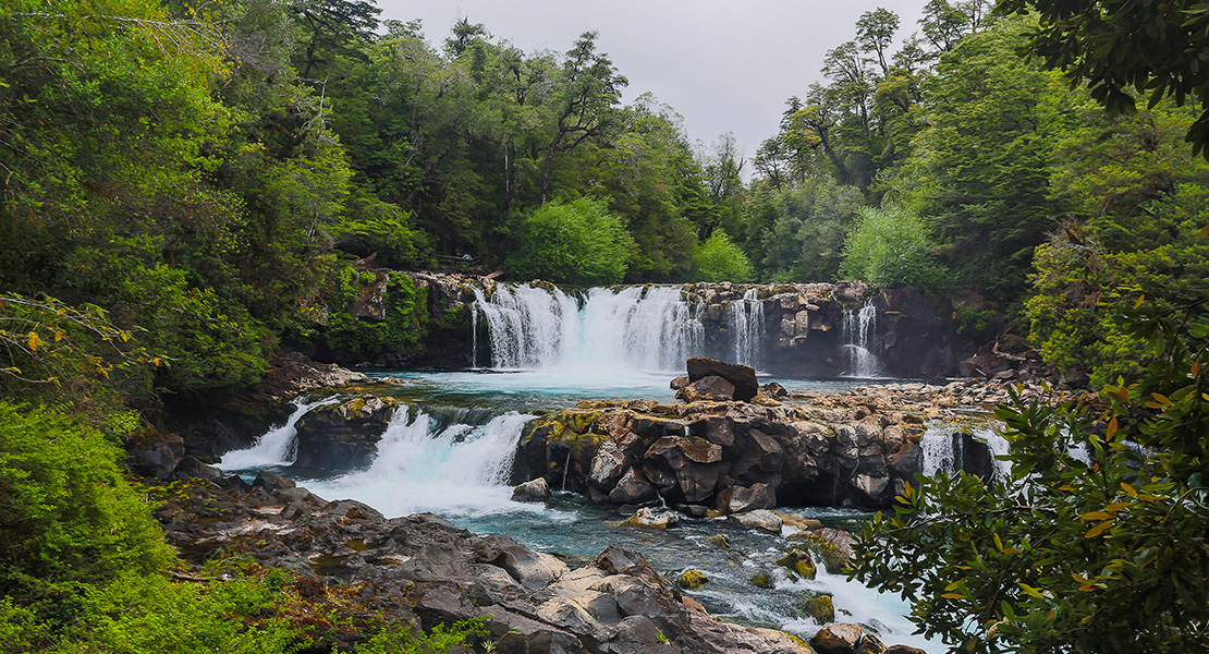 Huilo Huilo: El paraíso de la Selva Patagónica que fusiona turismo y ciencia en el sur de Chile