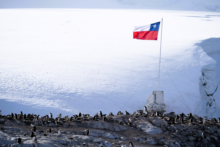Hito para la ciencia y diplomacia: Chile liderará la Secretaría del Tratado Antártico
