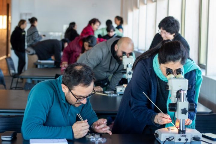 Innovador programa capacita a docentes chilenos para explorar los secretos del mar