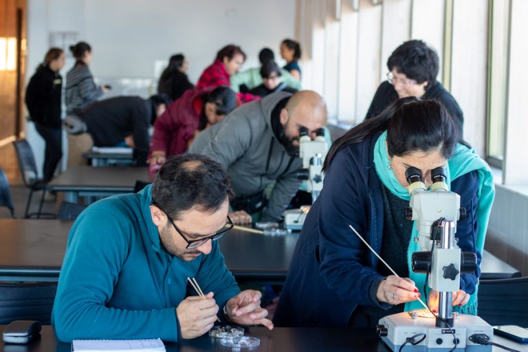 Innovador programa capacita a docentes chilenos para explorar los secretos del mar