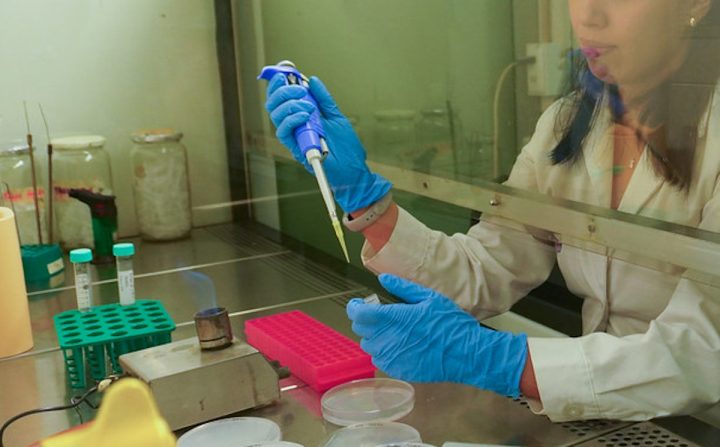 Científicos chilenos identifican una bacteria