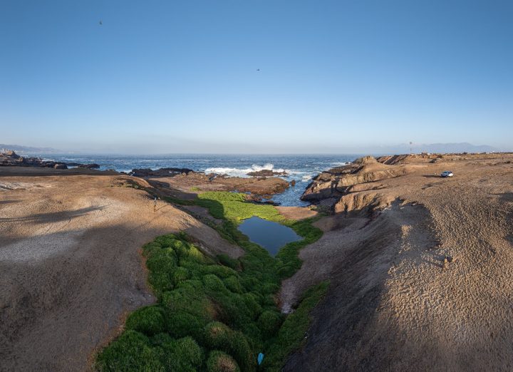 Humedal de Antofagasta recibe premio mundial por su aporte a la biodiversidad