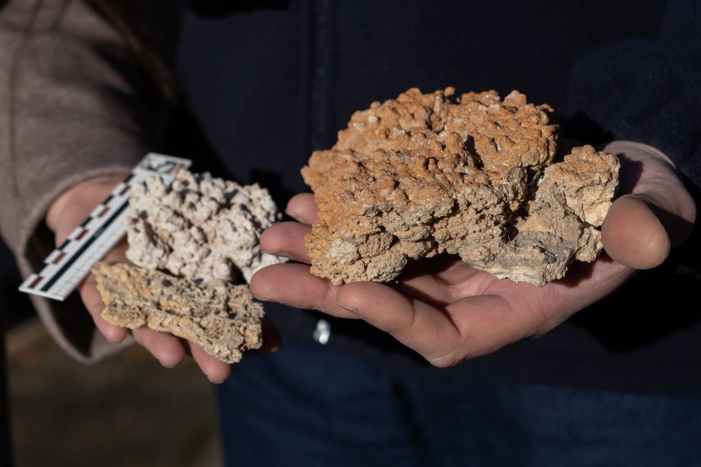 Microorganismos del Salar de Atacama revelan un nuevo mecanismo de concentración de metales