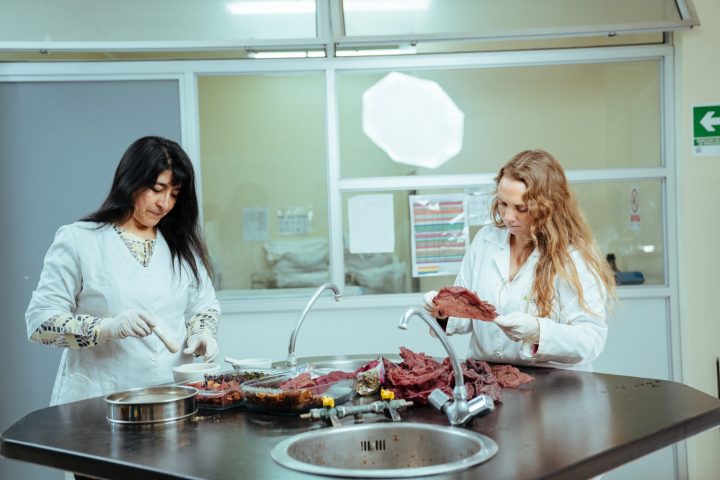 Científicas lideran la creación de un súper ingrediente con alga chilena para combatir la diabetes